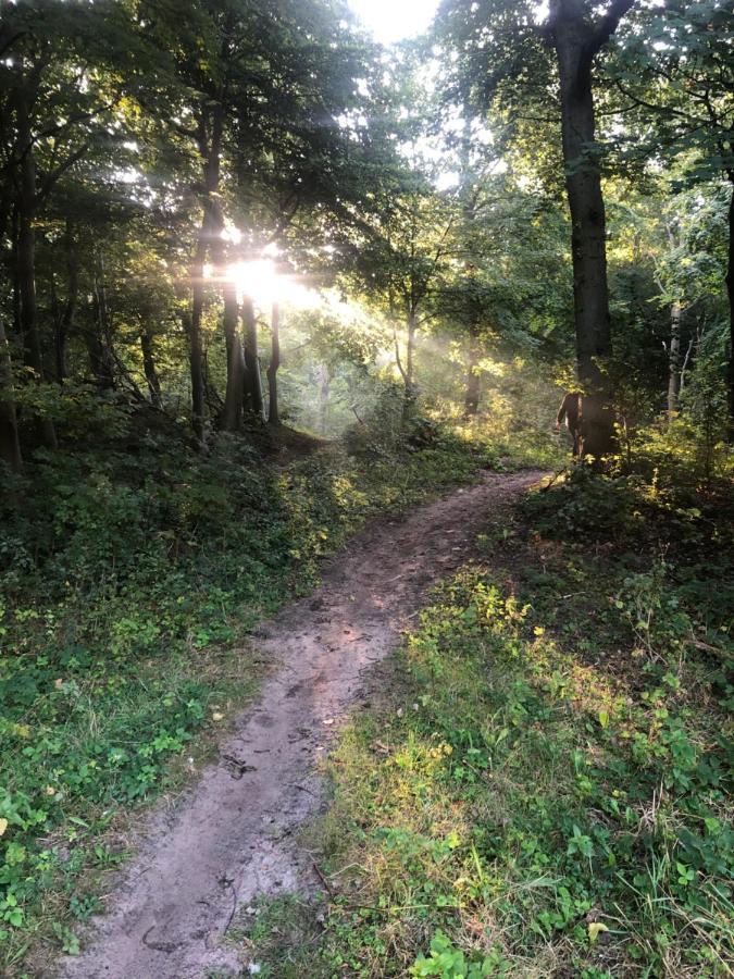 Вилла De Bosrand Grenzend Aan Het Bos Кастрикюм Экстерьер фото
